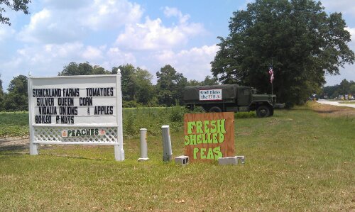 Strickland Farms, Hwy 67
